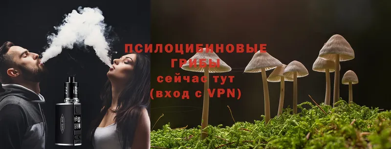 Галлюциногенные грибы Psilocybine cubensis  купить наркоту  Бежецк 